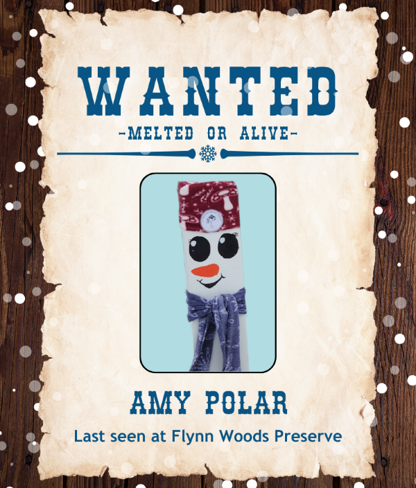 Amy-Polar.png#asset:5893