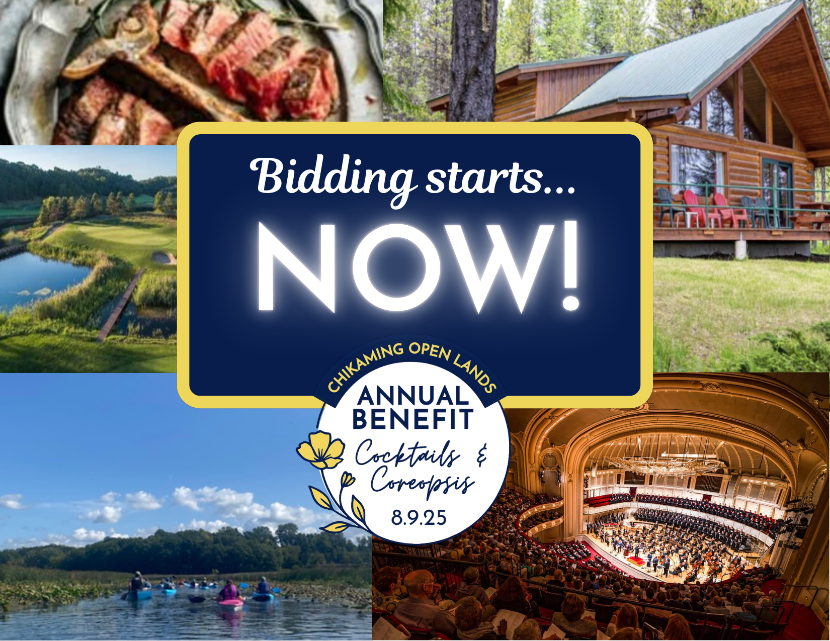 Benefit-Website-Graphics-5.png#asset:6459