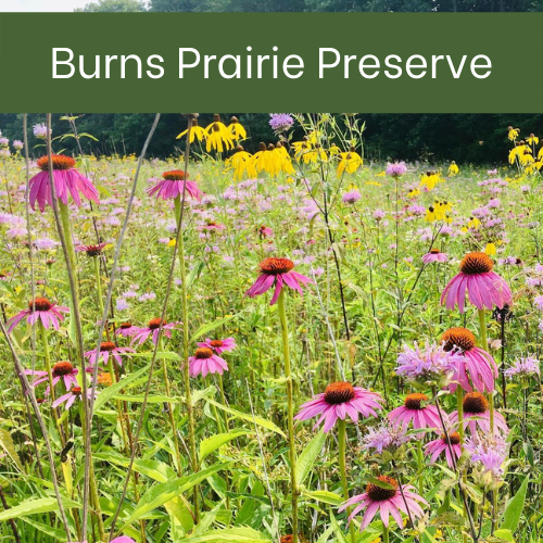 Burns-Prairie-Preserve.png#asset:3310