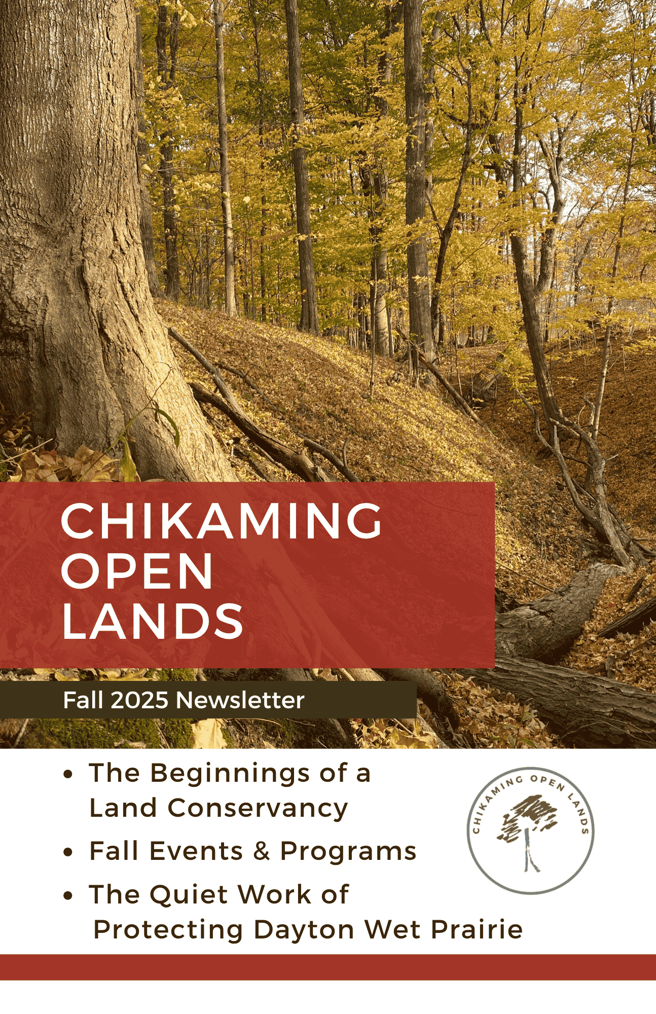 Fall Print Newsletter 2025