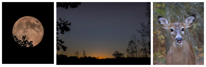 Don-Ashley.png#asset:6229