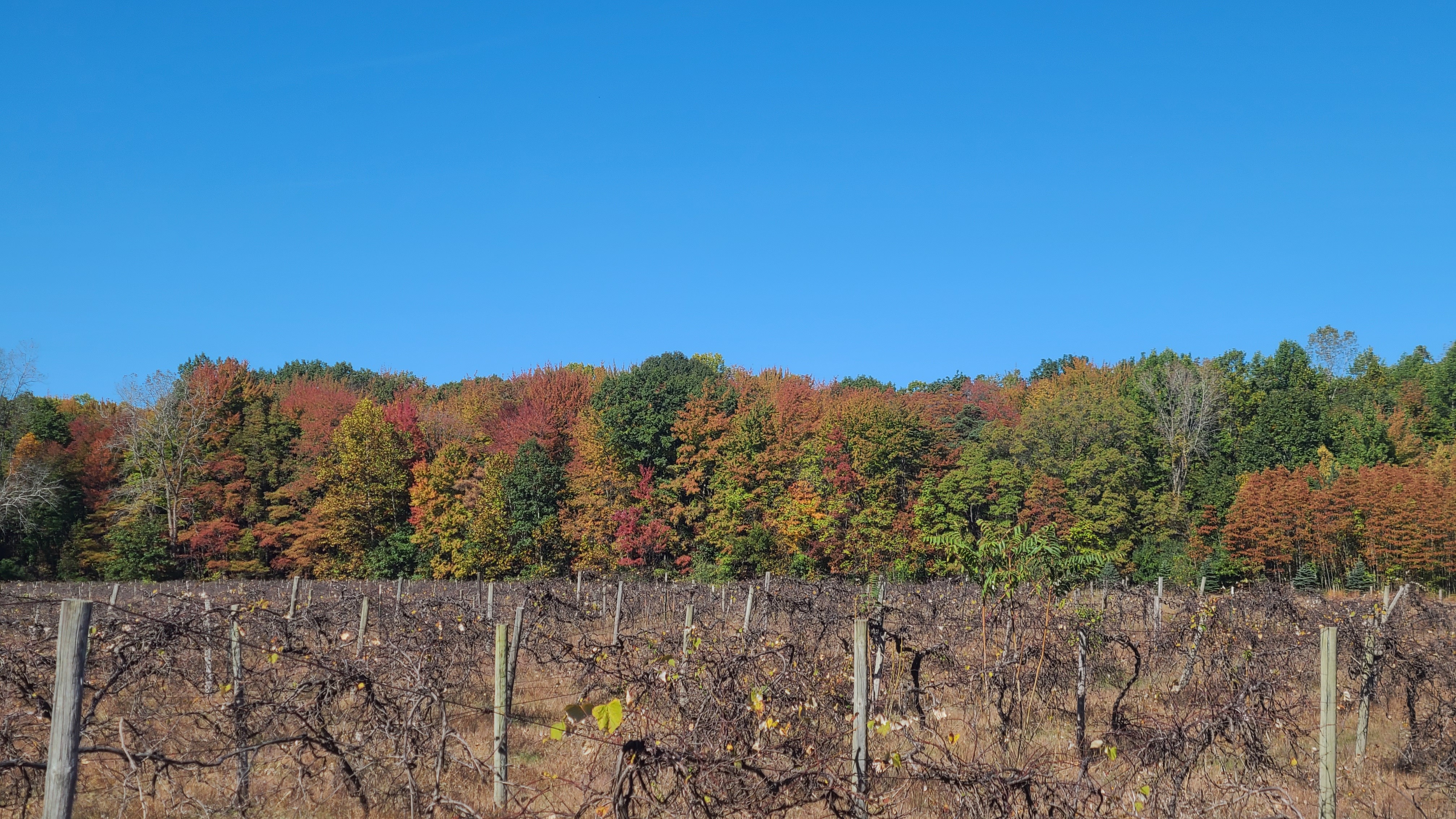 Doug-Morris_JJP.jpg#asset:6204