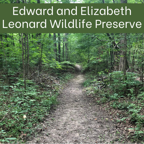 Edward-and-Elizabeth-Leonard-Wildlife-Preserve.png#asset:3312