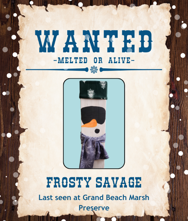 Frosty-Savage.png#asset:5890