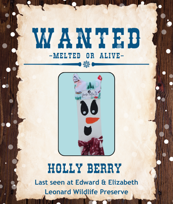 Holly-Berry.png#asset:5889