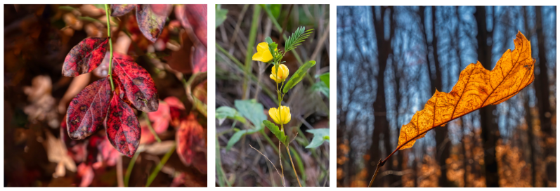 Jim-Long.png#asset:6241