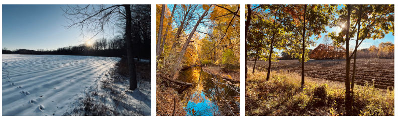 John-Knox.png#asset:6230