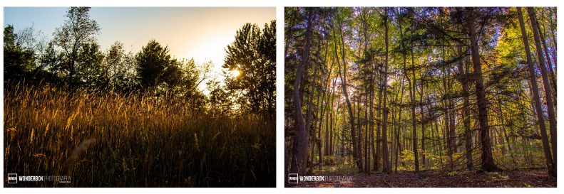 Josh-Patrillo.png#asset:6231