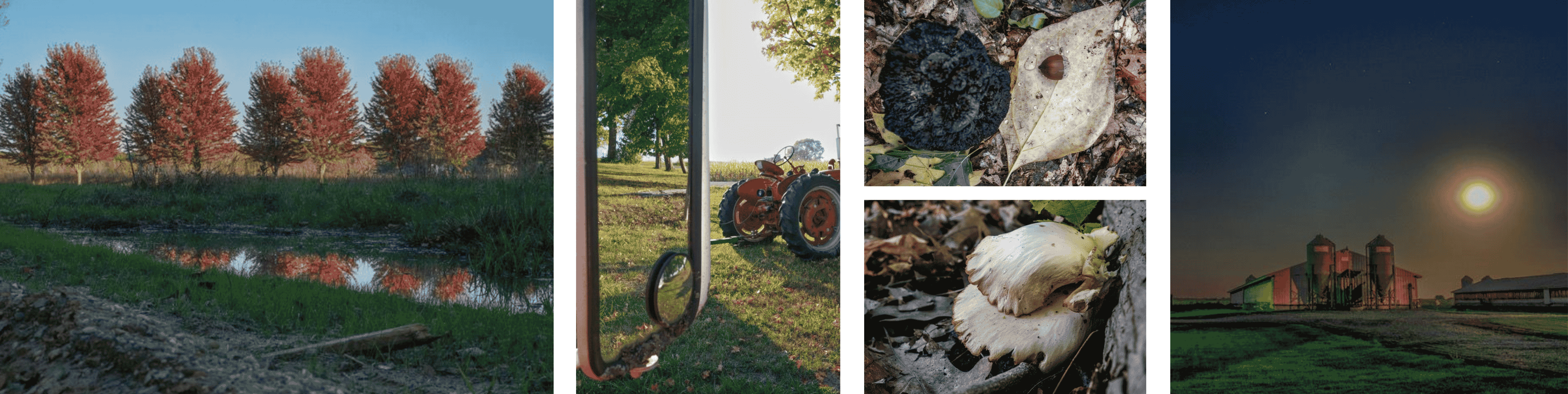 Kathy-Pick-2.png#asset:6257