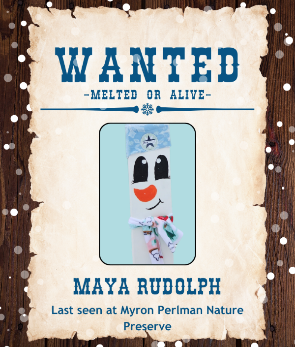Maya-Rudolph.png#asset:5888