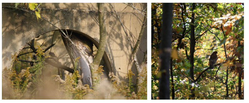 Molly-Mershon_250407_110829.png#asset:6239