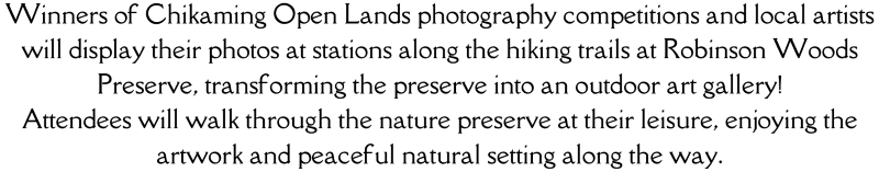 Opening-paragraph-800.png#asset:4933