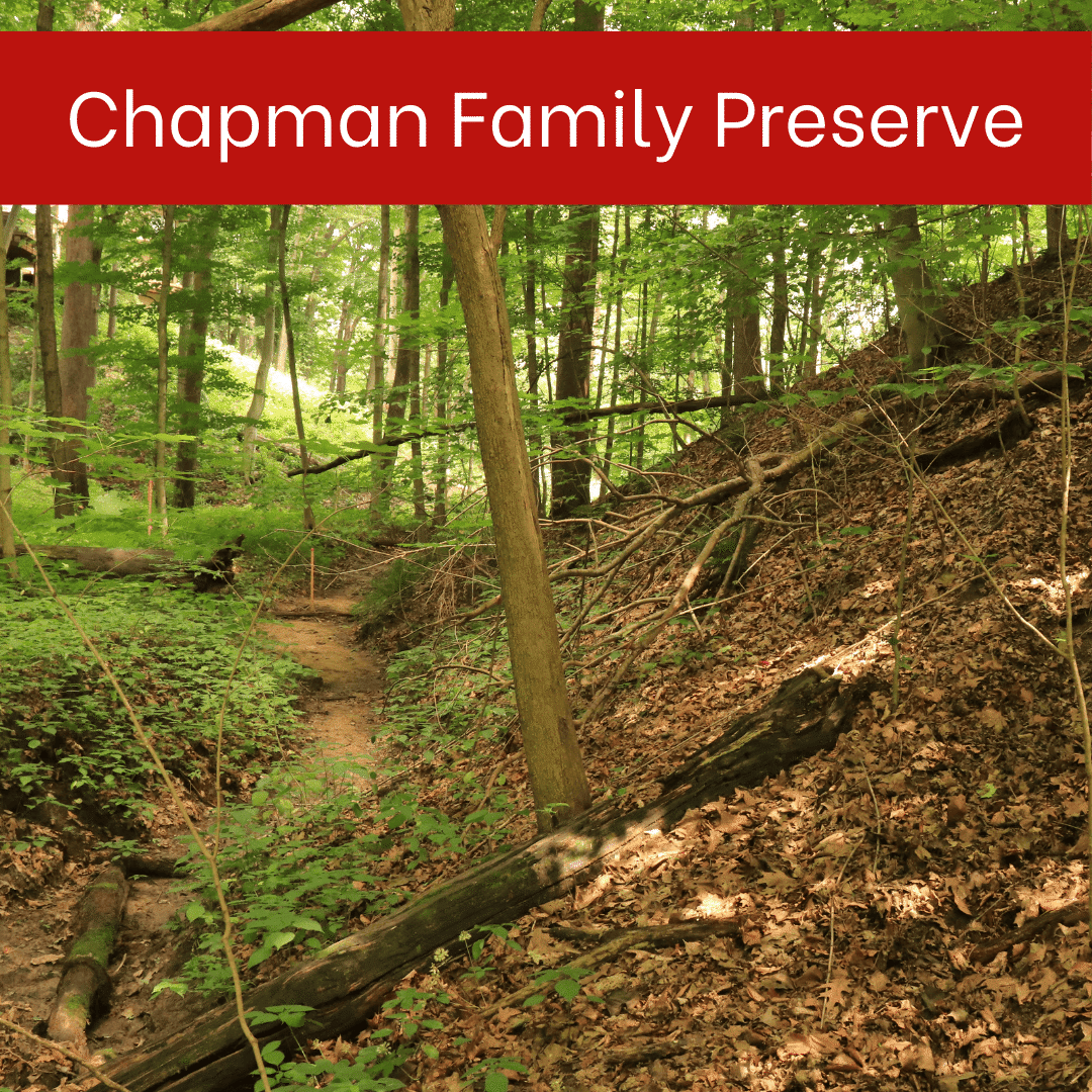 Preserve-Tiles-for-Website-3.png#asset:6533