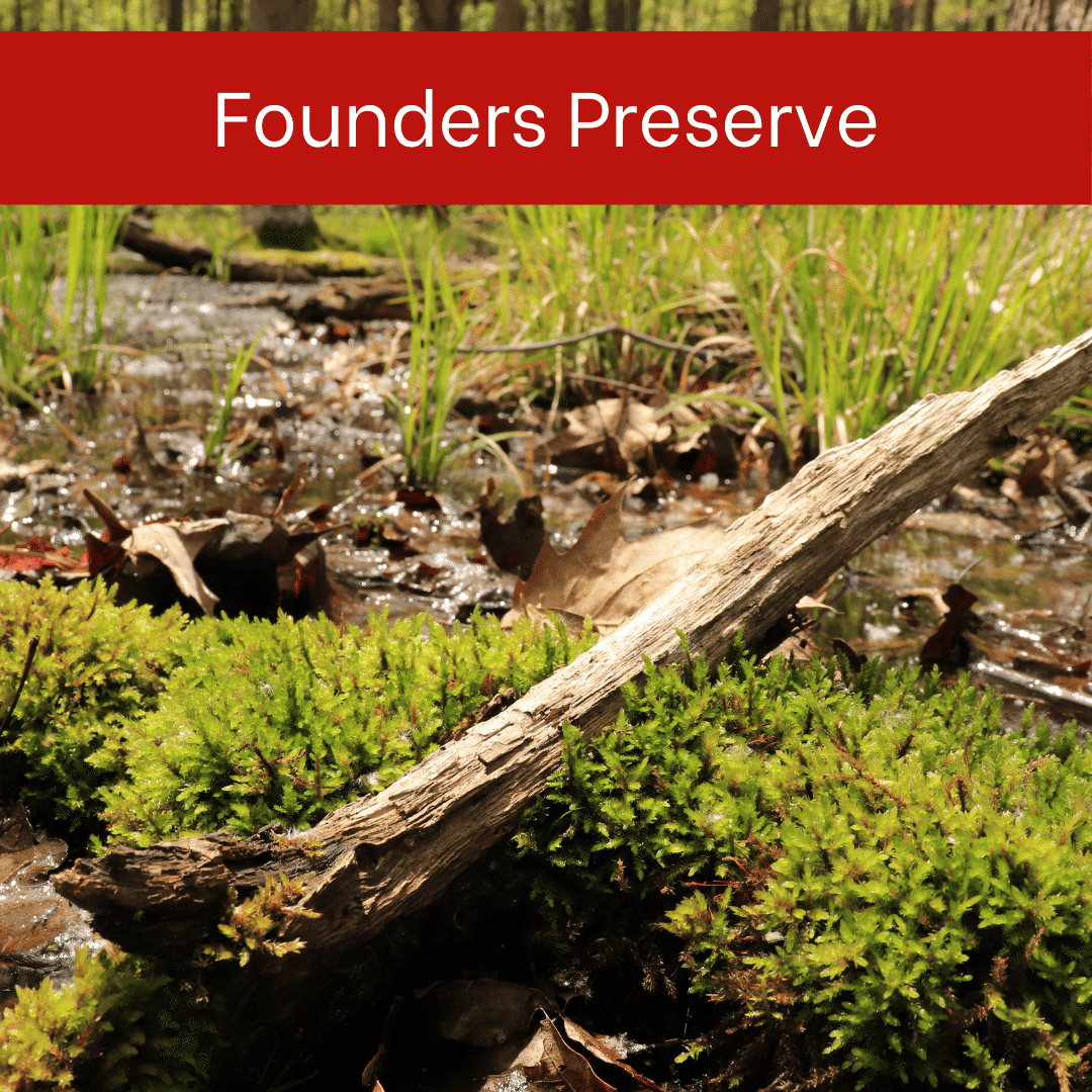 Preserve-Tiles-for-Website-4.png#asset:6534