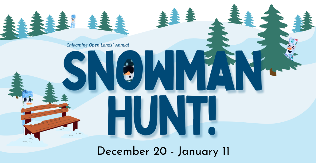 Screenshot-2025-11-20-at-12.08.05-PM.png#asset:6514