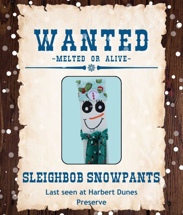 Sleighbob-Snowpants.png#asset:5886