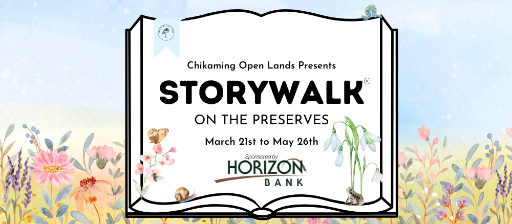 StoryWalk-2025-9.png#asset:6063