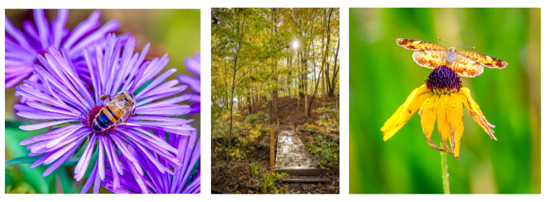 Terri-Herbert.png#asset:6227