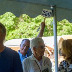 2024 Annual Benefit: Art on the Prairie