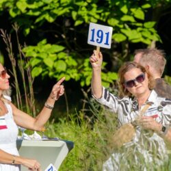 2024 Annual Benefit: Art on the Prairie