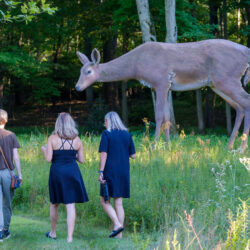 2024 Annual Benefit: Art on the Prairie