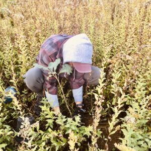 image of Doug Morris