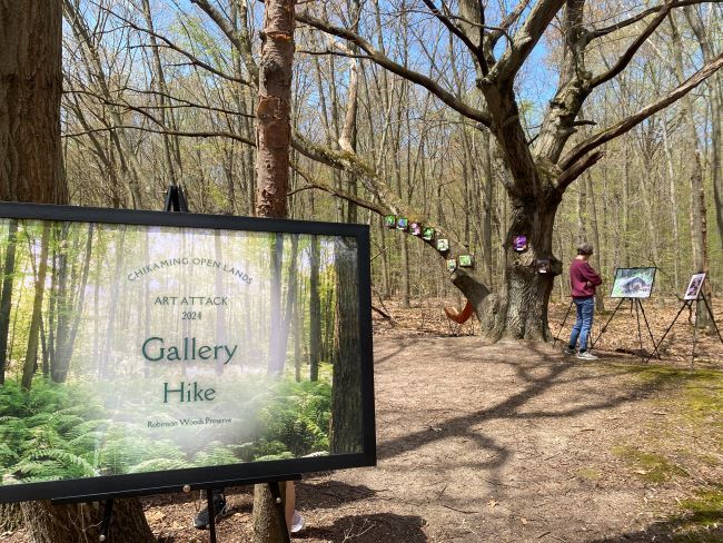 resixed.JPG#asset:5517